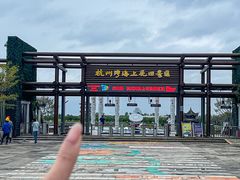 -杭州湾海上花田景区
