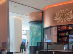 -谭厨中山传家菜.乳鸽.脆鲩鱼(华强北中航城店)