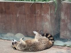 -呀路古热带植物园