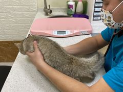 -美联众合动物医院·24h京西诊疗中心