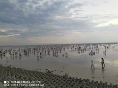-奉贤海滩
