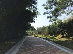 -玉树公园