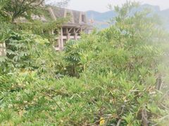 -广州锦绣香江度假别墅