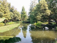 -古韵餐厅(湖畔大学店)
