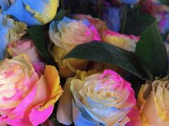 -ROSEONLY诺誓(国际广场购物中心店)