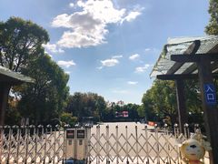 -上海海湾国家森林公园