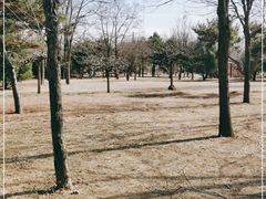 -东郊湿地公园