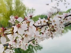 -陶然亭公园