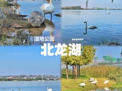 -北龙湖湿地公园