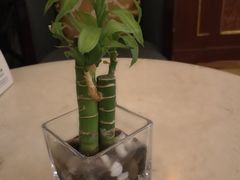 -国际饭店·原点咖啡吧ORIGIN CAFE&BAR