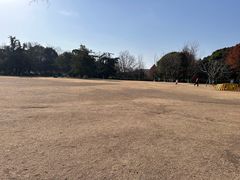 -青枫公园