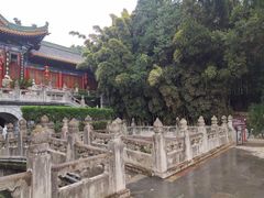 -王顺山国家森林公园