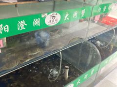 -阳澄湖大闸蟹·琼灵阁牌品牌连锁(吴中总店)