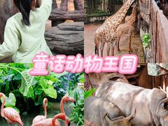 -长鹿旅游休博园