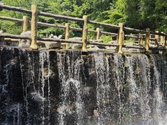 -王顺山国家森林公园