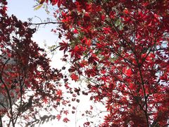 -炎黄艺术馆