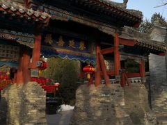 -大槐树寻根祭祖园