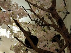 -佬湘楼(越秀城市广场店)