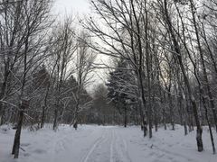 -雪谷