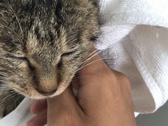 -欧奕国际动物医院