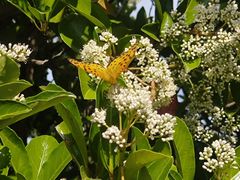 -南京市江宁方山