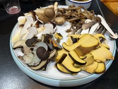 -野菌皇海景野生菌火锅(滨海大道店)