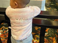 -龙悦湾酒家·八阵鱼生·渔人码头店