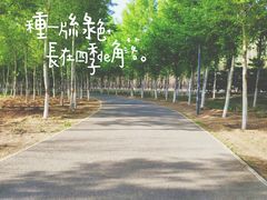 -东郊湿地公园