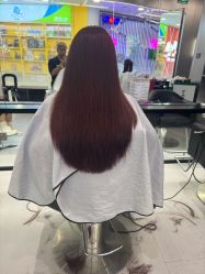 -东方麒麟·潘多拉SALON