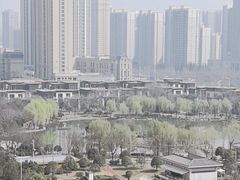 -木塔寺遗址生态公园