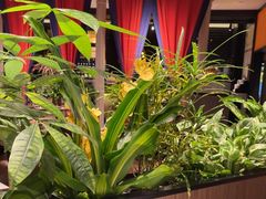 -半秋山西餐厅(巴南万达广场店)