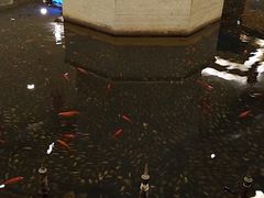 -碧中海汤泉汗蒸酒店