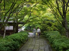 -西芳寺(苔寺)