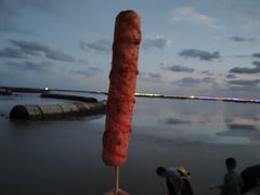 -南汇嘴观海公园