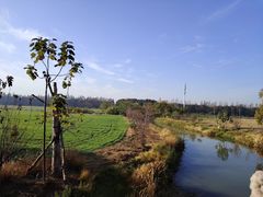 -嘉北郊野公园