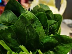 -渡娘火锅(大兴大悦春风里店)