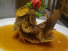 糖醋鲤鱼-闫府私房菜·百年鲁菜(恒隆店)