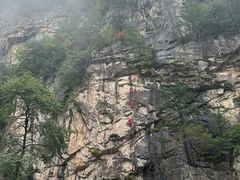 -青峰峡国家森林公园