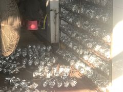-满記土窑烧鷄波浪山莊