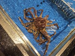 -蟹将军·松叶蟹和牛日料放题自助(K11店)