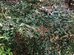 -南山风景名胜区