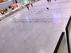 -炫采冰场(红博中央公园商场店)