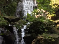 -藏龙百瀑风景区