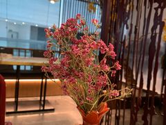 -京华烟云·北京烤鸭(领展购物广场·中关村店)