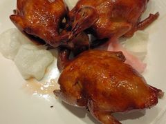 -稻香酒家·34年老字号·港式粤菜(侨光店)