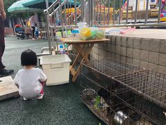 -成飞公园
