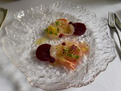 -蝶舍·MAISON PAPILLON