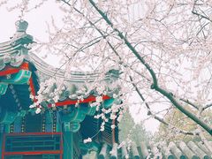 -宣武艺园