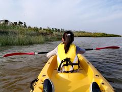 -春花秋色城市公园