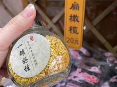 -苏州市吴中区光福窑上花果蜜饯厂